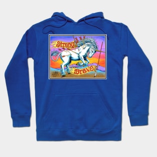 Unicorn - Strong and Brave Hoodie